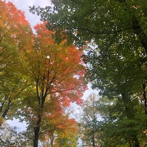 Meet your Posher, Blair